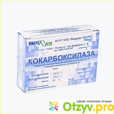 Отзыв о Атф и кокарбоксилаза как колоть