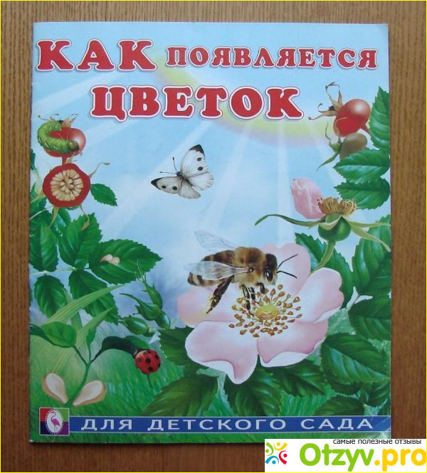 Общие впечатления о книге «Как появляется цветок»