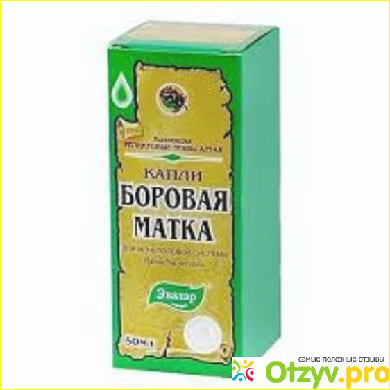 Отзыв о Боровая матка капли