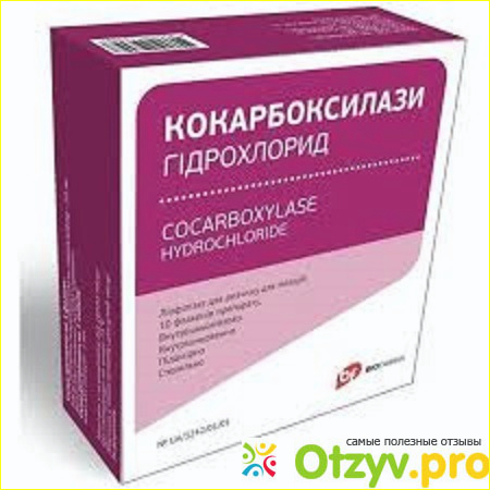 Атф и кокарбоксилаза как колоть фото1