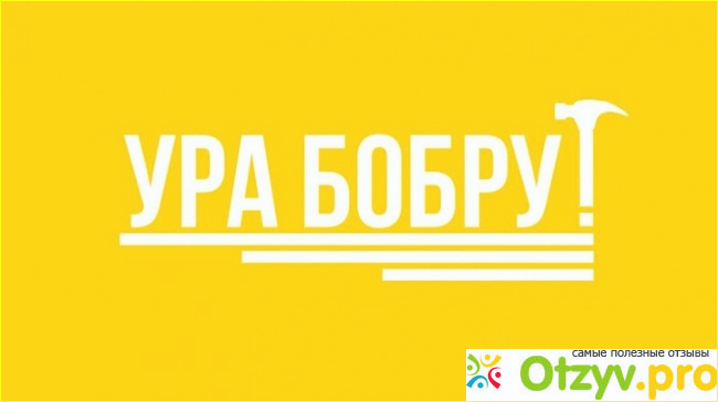 Отзыв о Бобер показать все полезные советы это канал