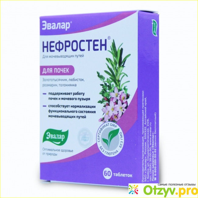 Что такое Нефростен, как действует средство 