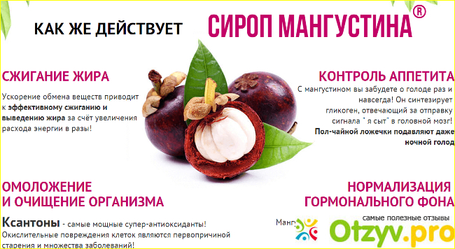Как приобрести сироп Мангустина?