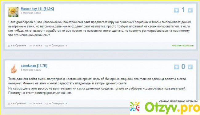 Greenoption ru фото1