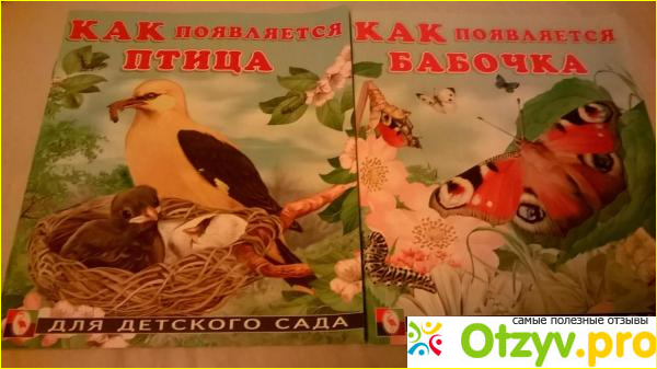 Отзыв о Книга Как появляется птица