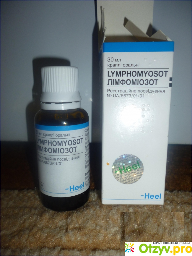 Эффективность гомеопатического средства «Лимфомиозот»