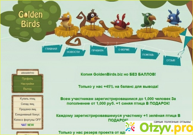 Биз сайт. Голден Берд. Голден Бердс игра. Колесо фортуны money Birds. Golden Birds официальный сайт.