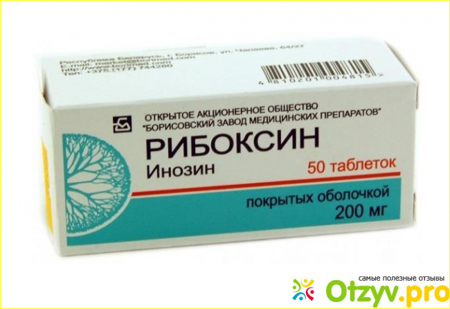 Что из себя представляет лекарственный препарат «Рибоксин»? 