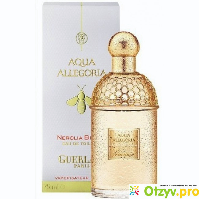 Отзыв о Guerlain Aqua Allegoria