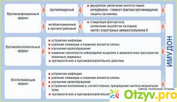 Как правильно принимать Имудон