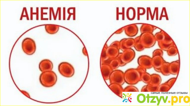 Цена и где купить препарат