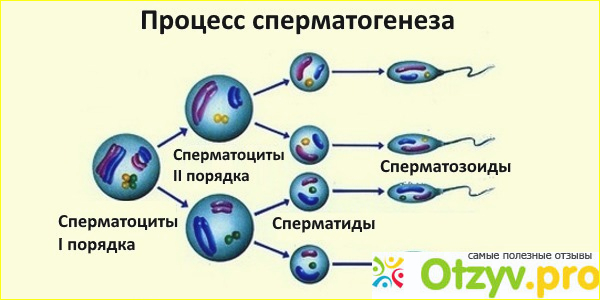 показания к применению препарата?