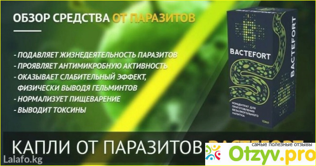 Где купить препарат Бактефорт, стоимость