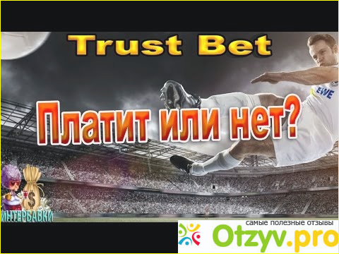 Принцип работы в Trust Bet