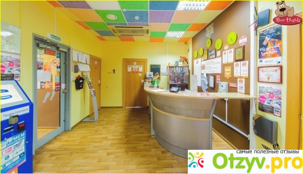Хостелы Bear Hostels фото1