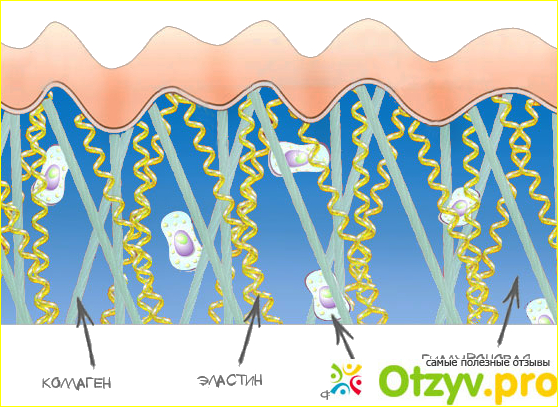 Косметический эластин