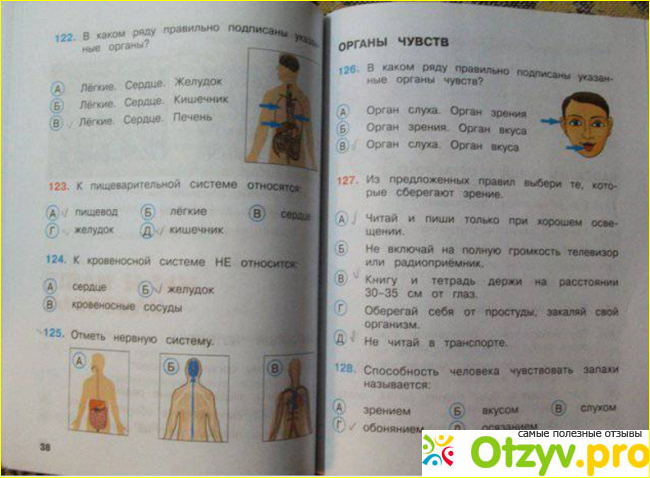 Как выглядит.