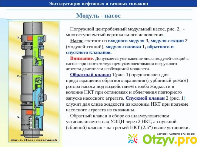 Эх, студенческие годы, а заказывали дипломные проекты у наших преподавателей