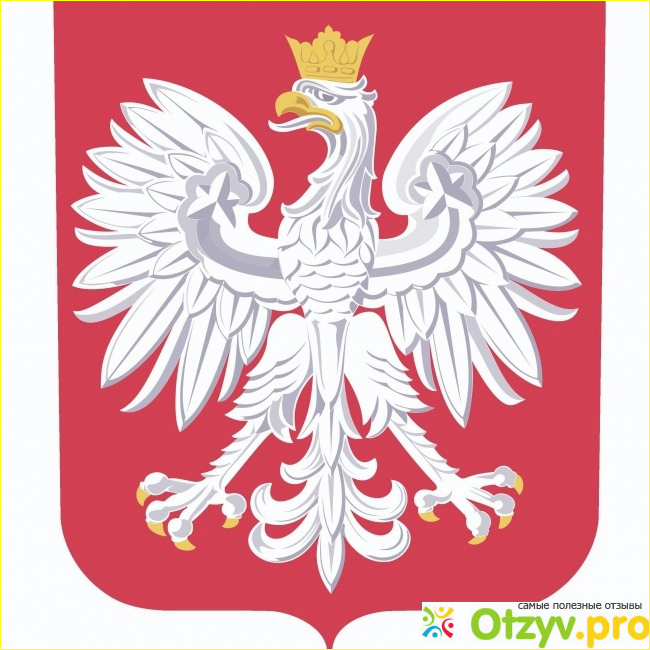 Отзыв о Футбольбный матч Польша - Черногория