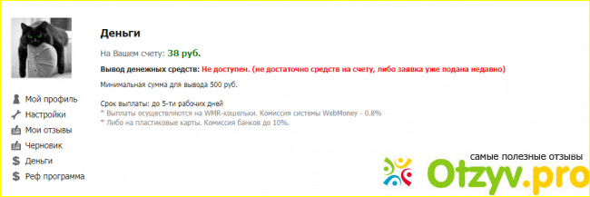 Вывод об эффективности заработка на сайте отзывов