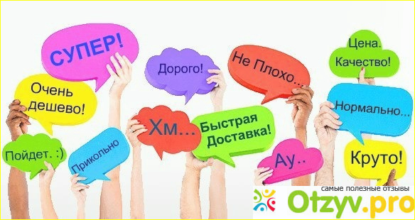 Заработать на отзывах.