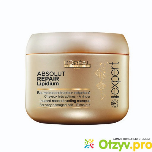 LOreal Professionnel Absolut Repair Lipidium Instant Reconstructing Masque.