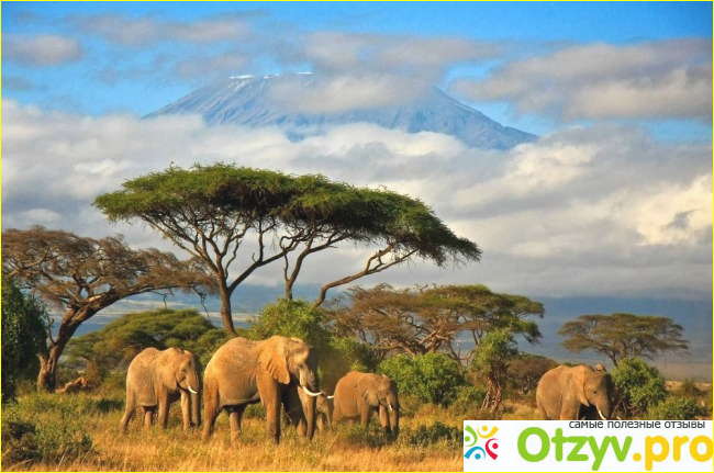 Исторические и культурные достопримечательности Танзании