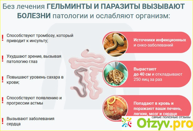 Состав Гельмитон от глистов и гельминтов