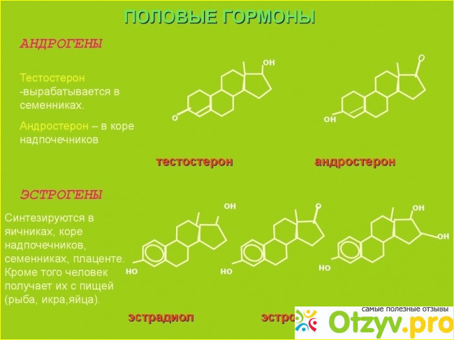 Что собой представляет Андростерон