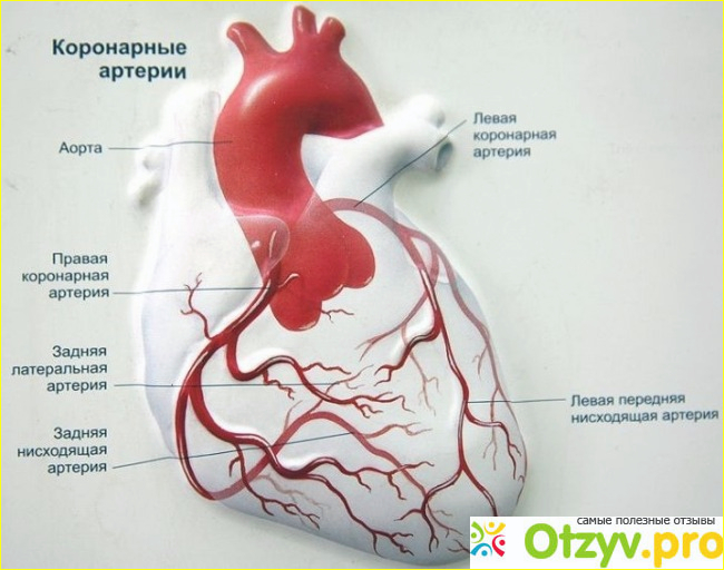 Где купить средство от давления?