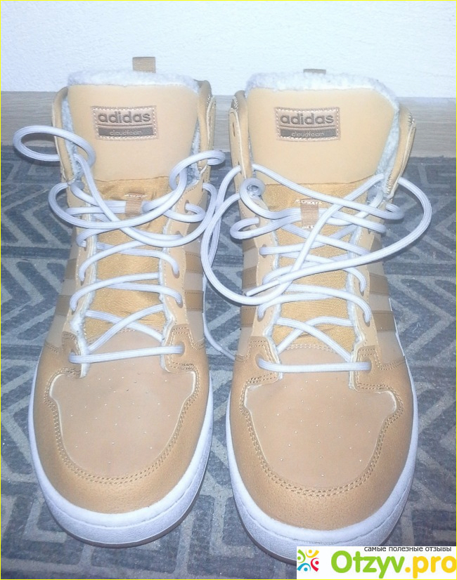 Отзыв о Кроссовки Cloudfoam Hoops Winter Mid Adidas