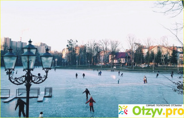 Калининград в январе отзывы туристов фото9