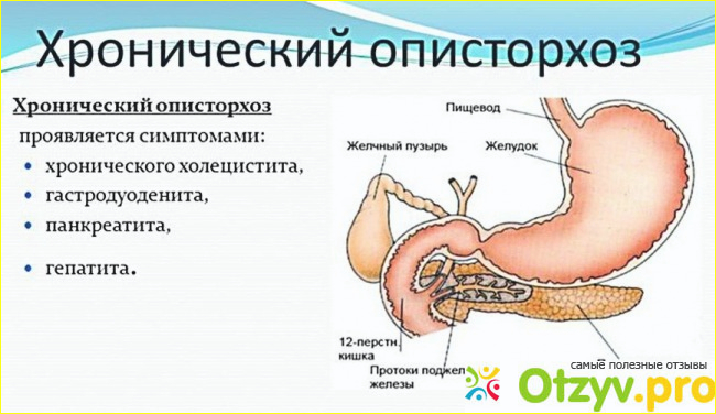 1. Паразитарное истощение организма.