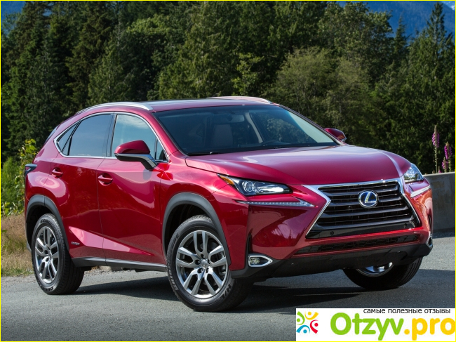 Lexus NX: