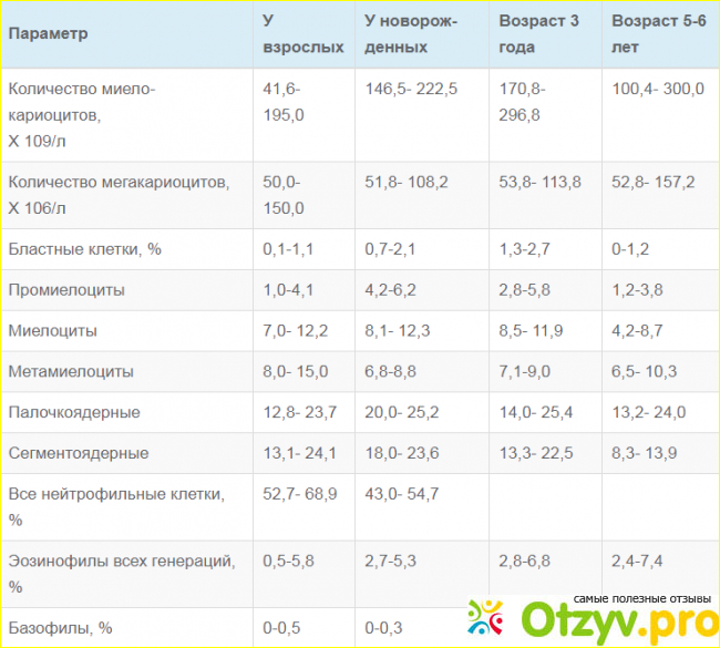 Как проводится процедура миелограммы костного мозга