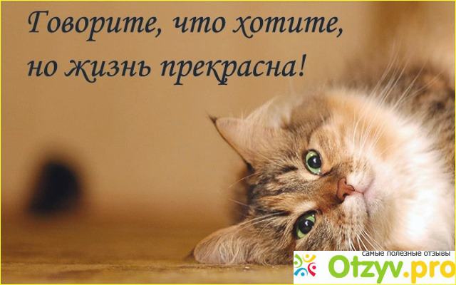 1) Черное не всегда белое, и наоборот.