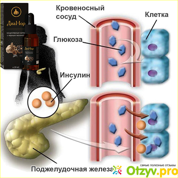 Состав. Свойства препарата.