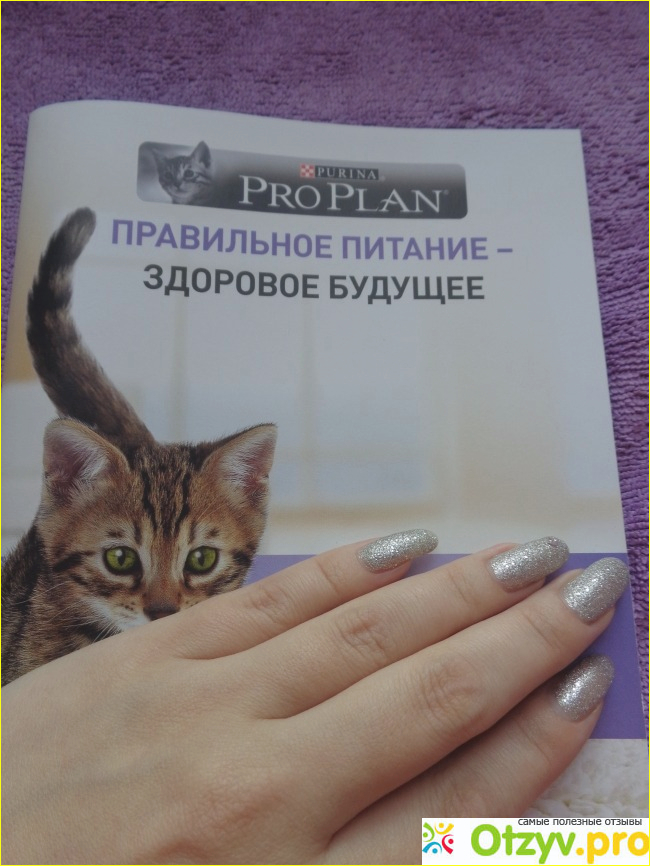 Подарочный набор проплан фото1