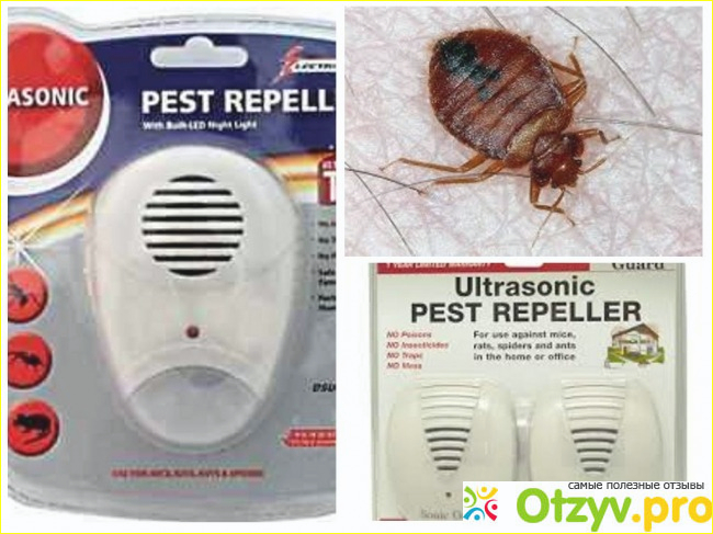 Насколько эффективно средство для отпугивания насекомых и грызунов Pest Repeller