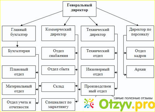 В чем различие директора и генерального директора?