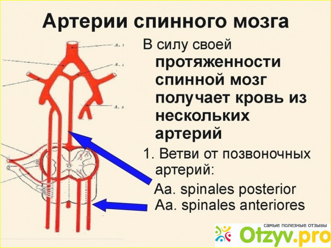 Последствия.