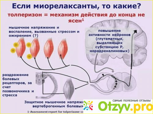 Аналоги данного препарата