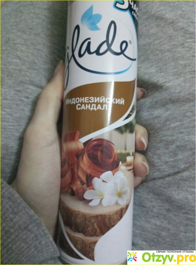 Отзыв о Освежитель воздуха Glade