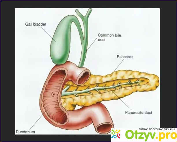 Холецистопанкреатит - что это такое?