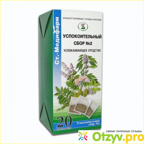 Успокаивающий сбор: виды, польза, эффект.