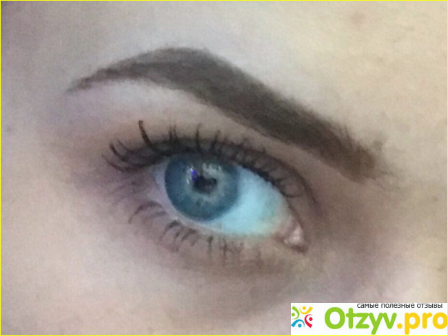Отзыв о Тинт для бровей Maybelline Tattoo brow