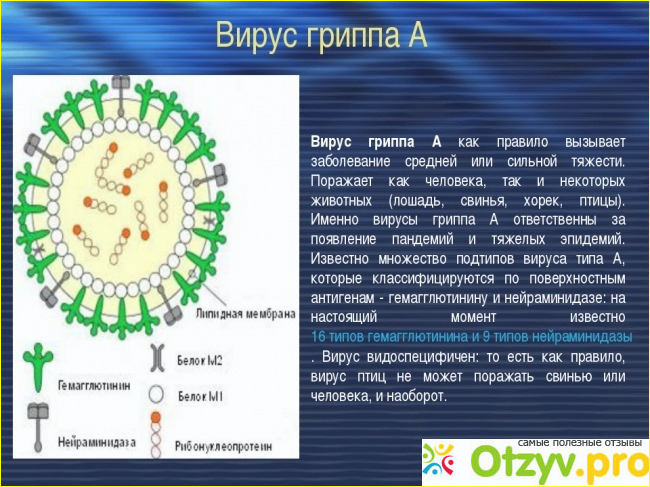 Отзыв о Чего боится вирус гриппа