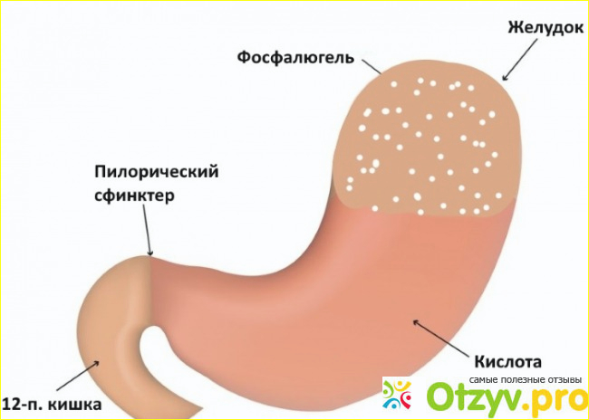 Фосфалюгель поджелудочная. Фосфалюгель акция.