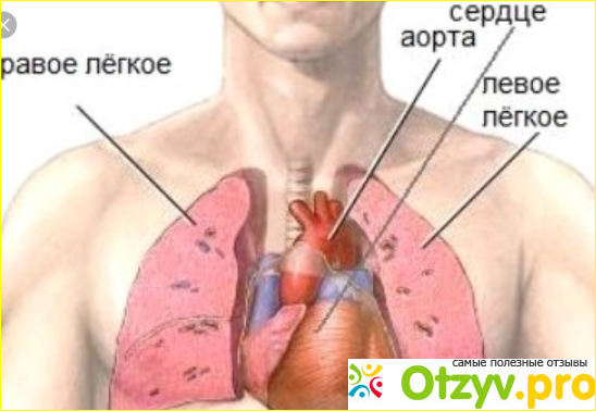 Отзыв о Колет в области сердца что это может быть