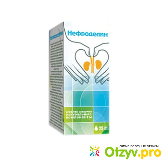 Отзывы пациентов о препарате Нефроделин.